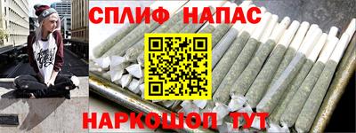 шишки Лесосибирск